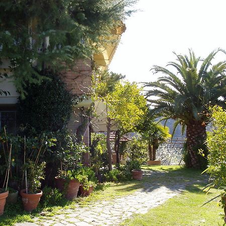La Chandelle Massarosa Exterior photo